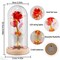 Eternal Preserved LED Rose with Butterfly in Glass Dome Décor